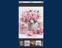 logo-Image Gallery